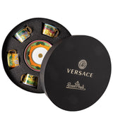 VERSACE | Jungle Anmalier 一套六位茶杯連底碟